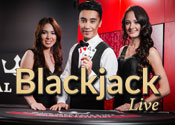 Royal Panda Live Blackjack
