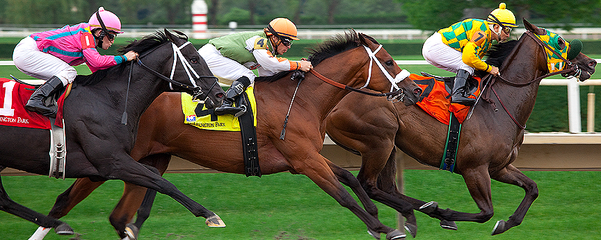 Three Top Horses Racing
